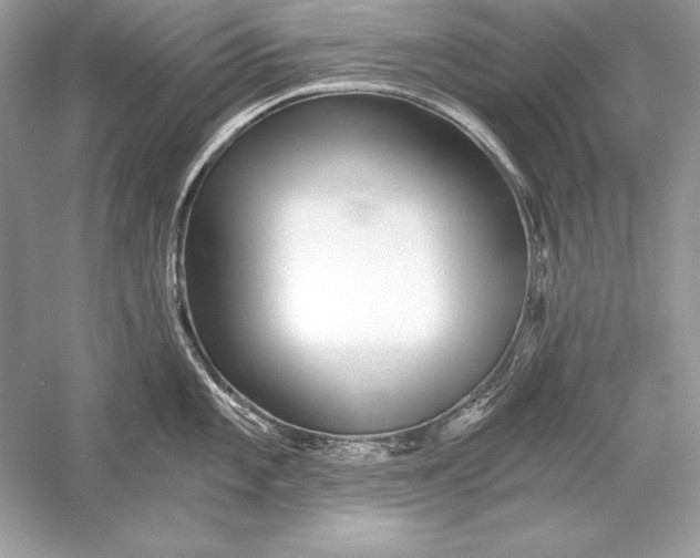 X0000056031101200509092158