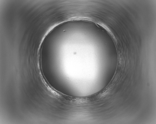 X0000056031102200509092158