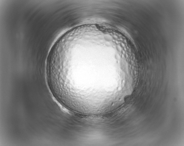 X0000056031103200509092158