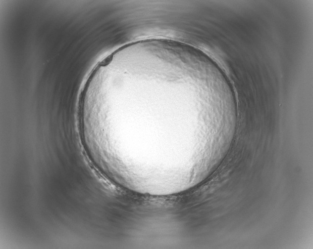 X0000056031104200509092158