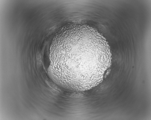 X0000056031106200509092158