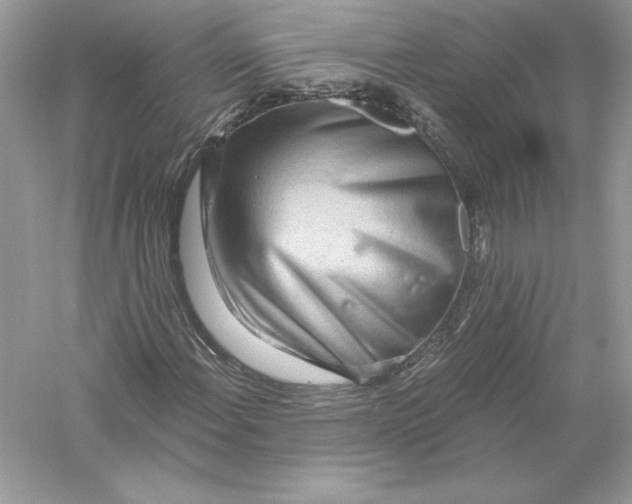 X0000056031108200509092158