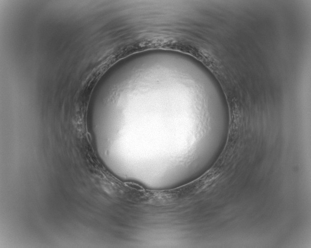 X0000056031109200509092158