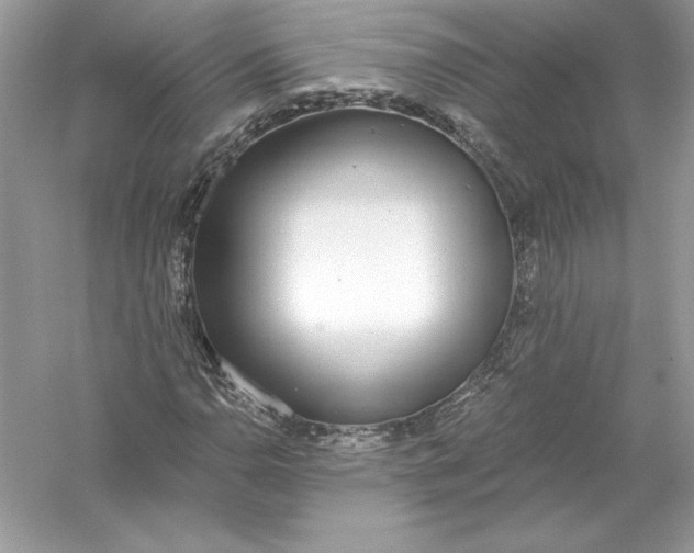 X0000056031110200509092158