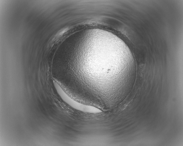 X0000056031111200509092158