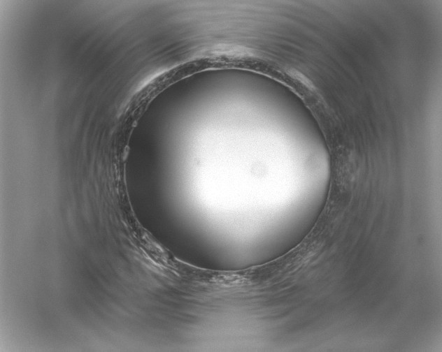 X0000056031112200509092158