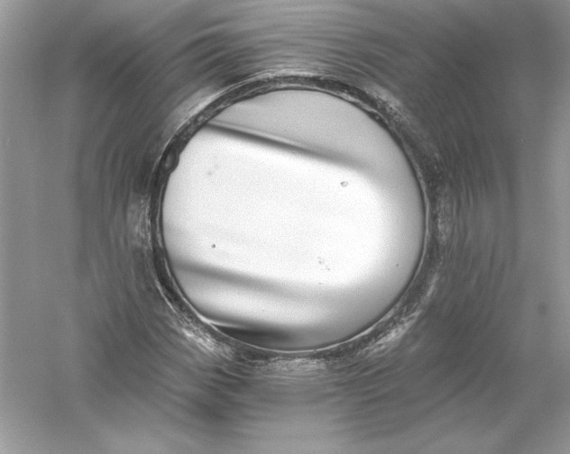 X0000056031113200509092158