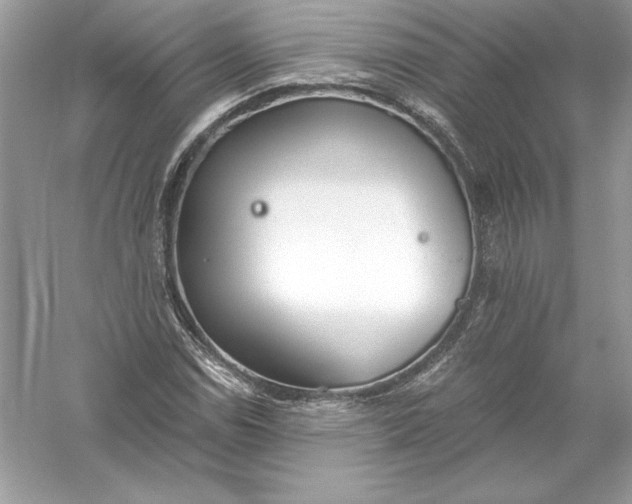 X0000056031114200509092158