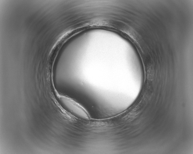 X0000056031115200509092158