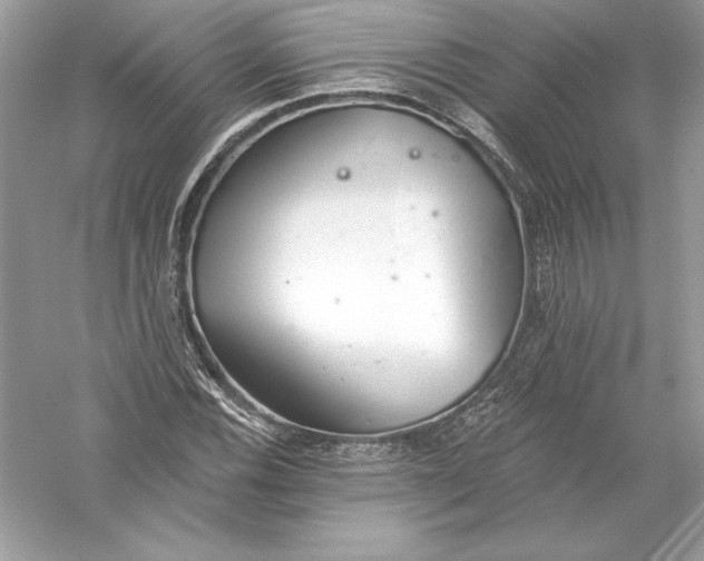 X0000056031116200509092158