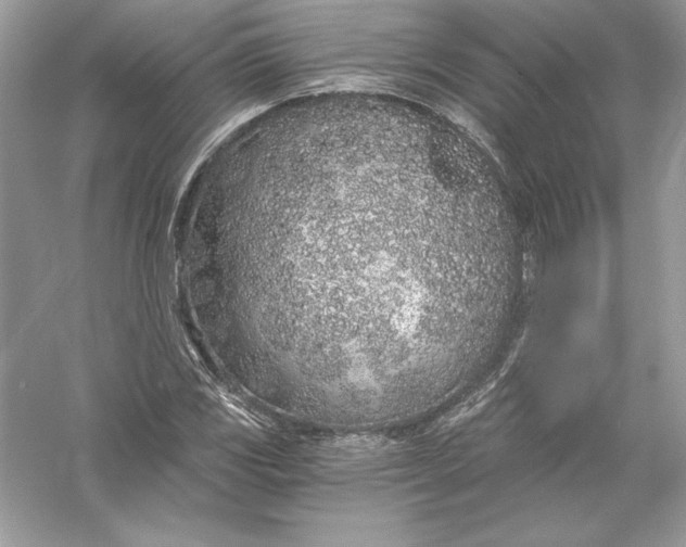 X0000056031117200509092158