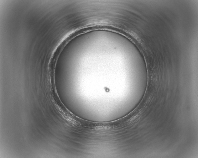 X0000056031118200509092158