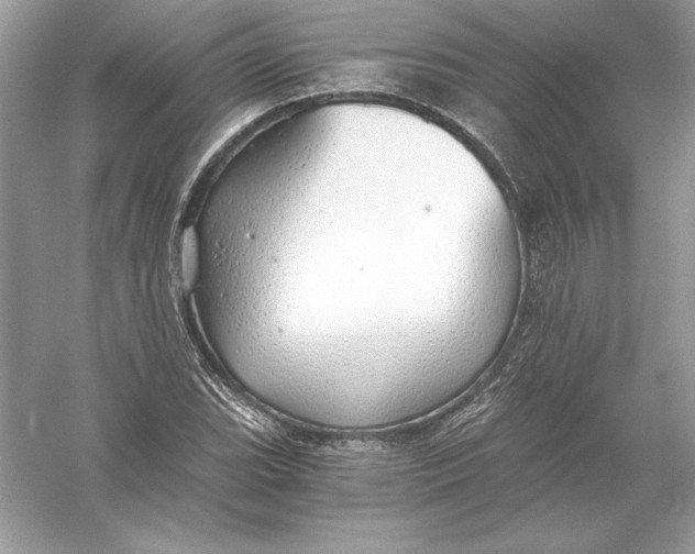 X0000056031119200509092158