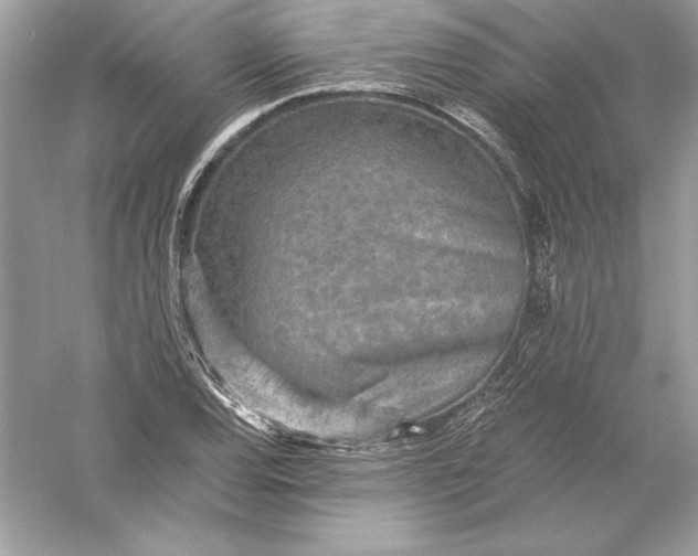 X0000056031120200509092158