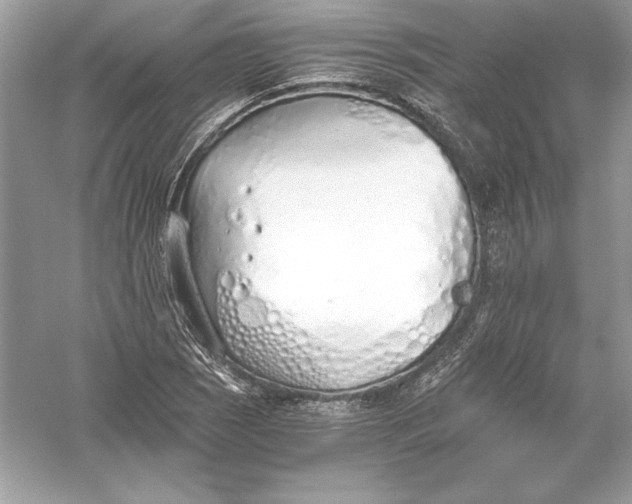 X0000056031121200509092158