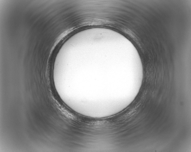 X0000056031122200509092158