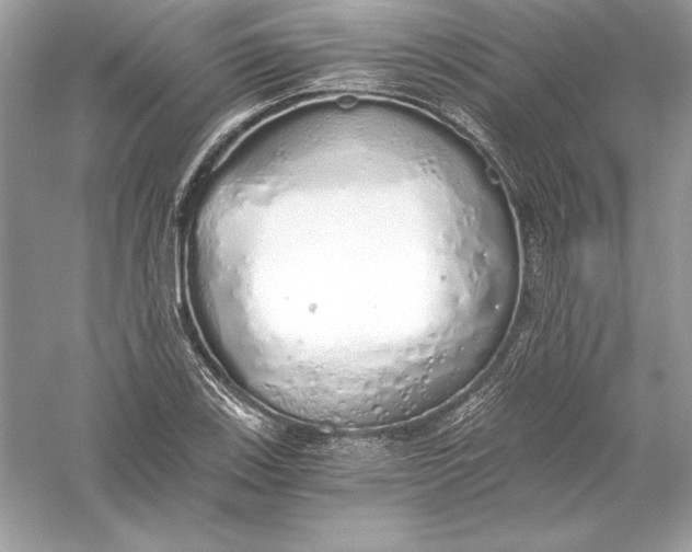 X0000056031123200509092158