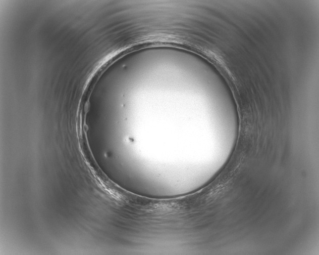 X0000056031125200509092158