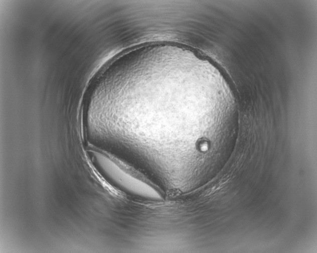 X0000056031127200509092158