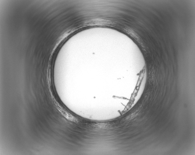 X0000056031130200509092158