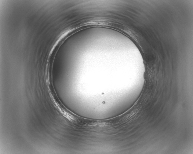 X0000056031131200509092158