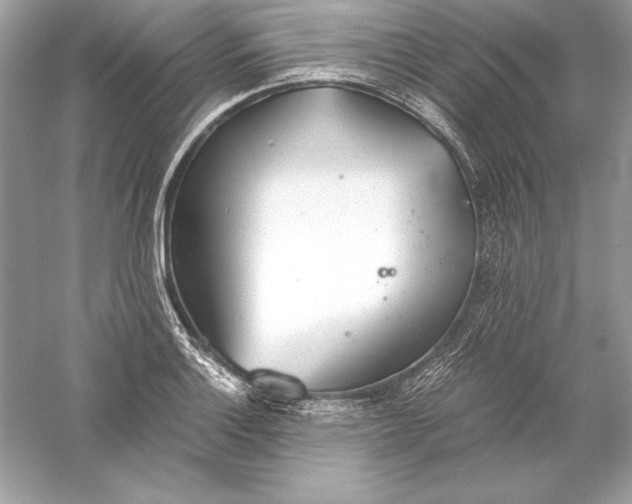 X0000056031132200509092158