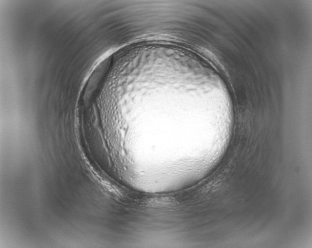 X0000056031133200509092158