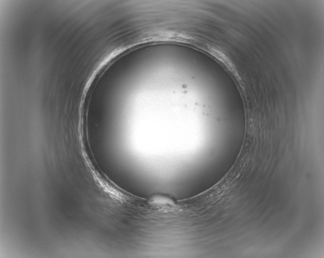 X0000056031136200509092158