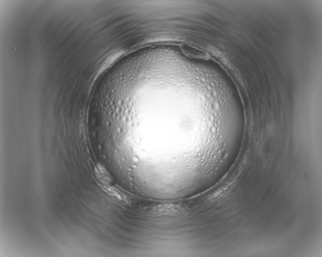 X0000056031137200509092158