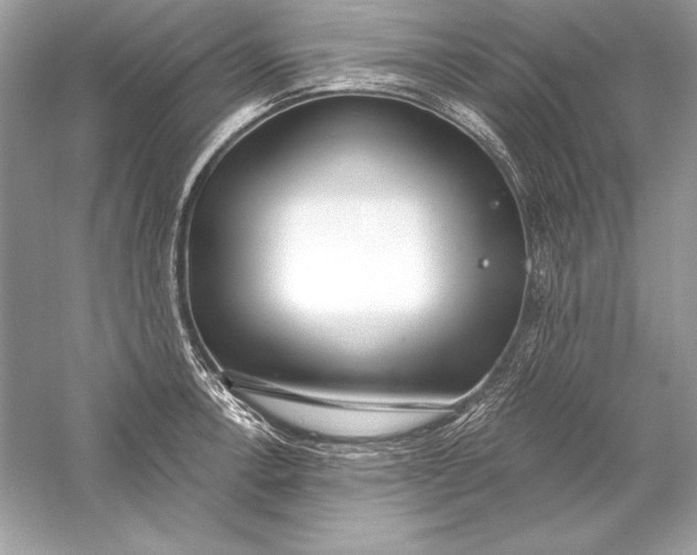 X0000056031138200509092158