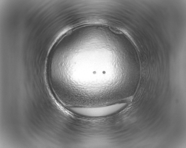 X0000056031139200509092158