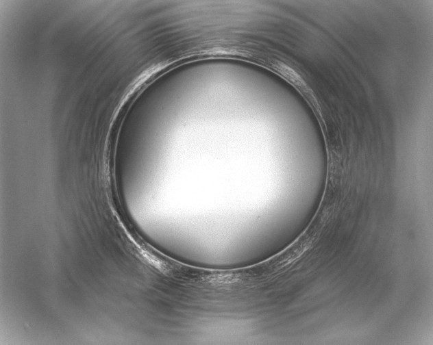 X0000056031141200509092158