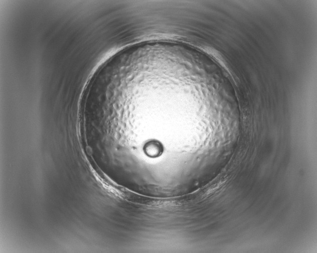 X0000056031143200509092158