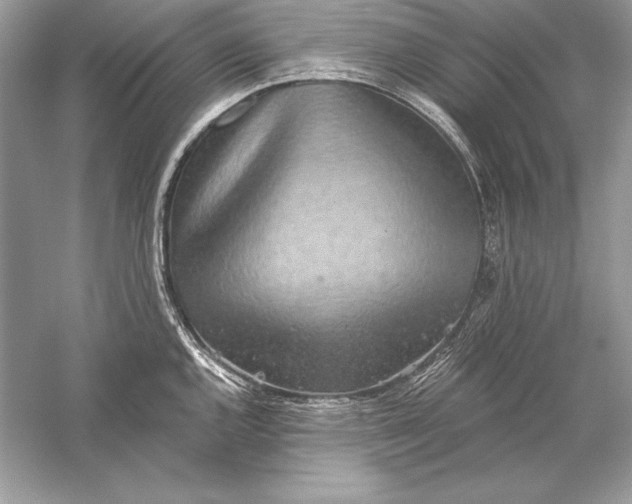 X0000056031144200509092158