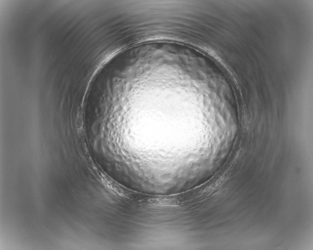 X0000056031145200509092158