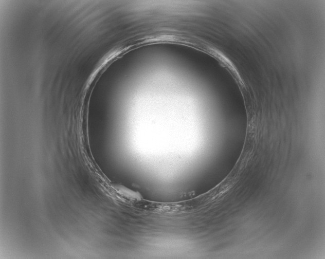 X0000056031146200509092158