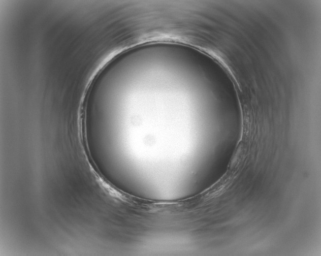 X0000056031151200509092158