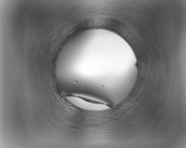 X0000056031153200509092158