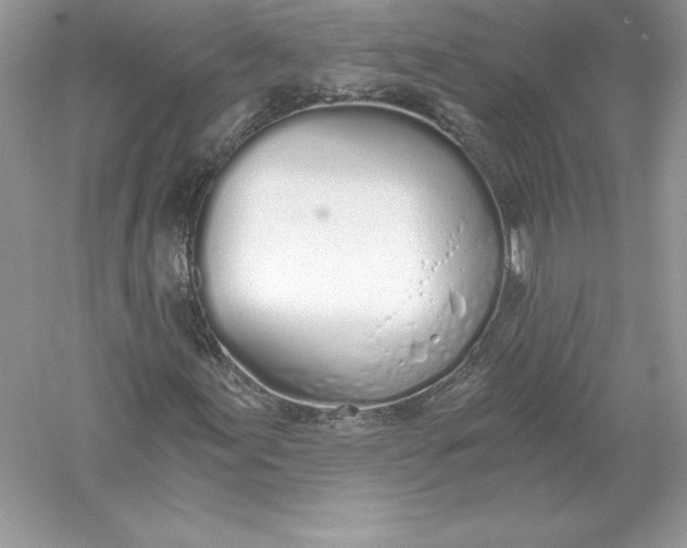 X0000056031155200509092158