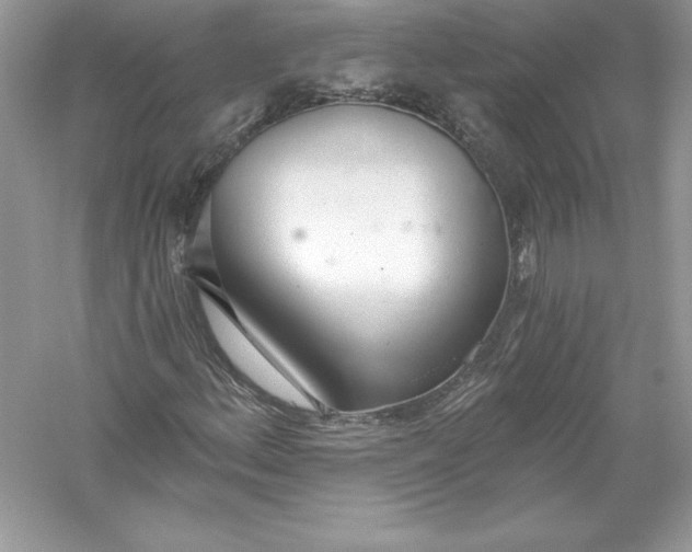 X0000056031156200509092157