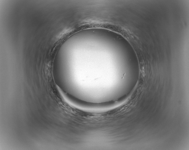 X0000056031157200509092157