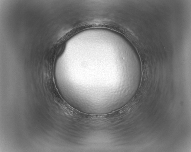 X0000056031158200509092157