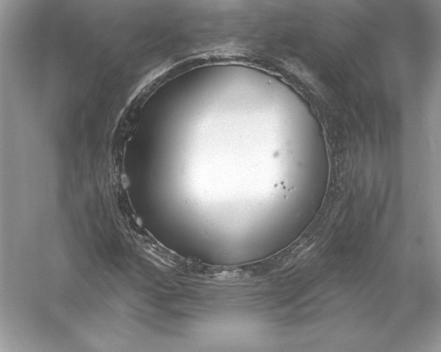 X0000056031160200509092157