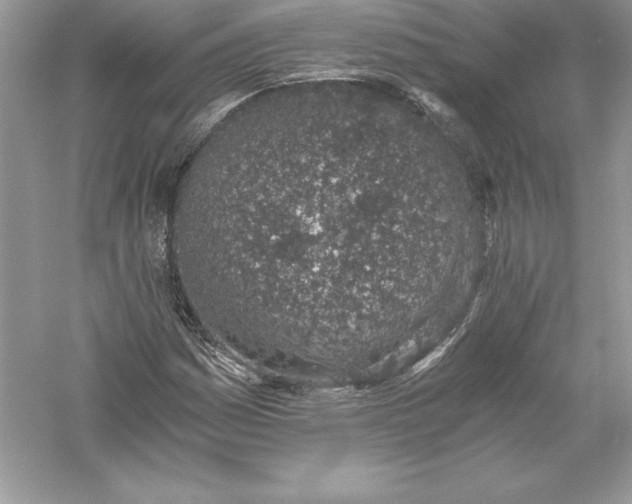 X0000056031161200509092157