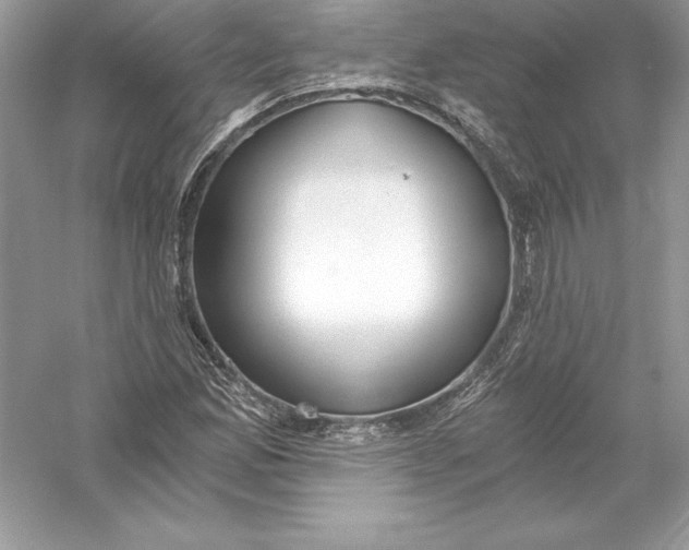 X0000056031165200509092157