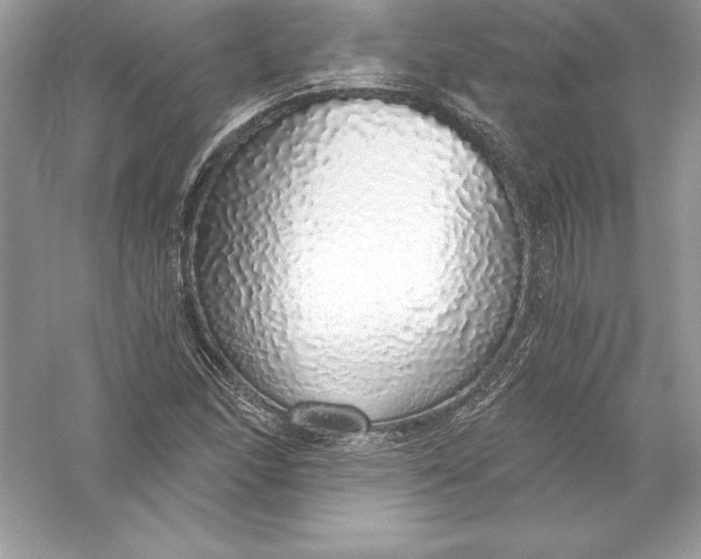 X0000056031166200509092157