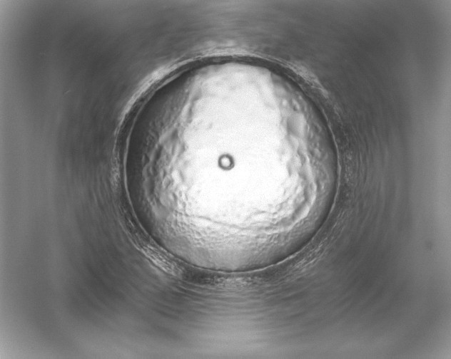 X0000056031167200509092157