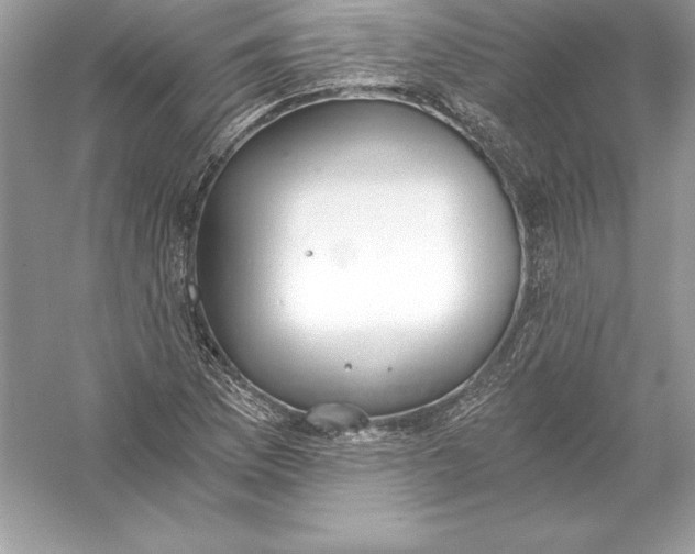 X0000056031169200509092157