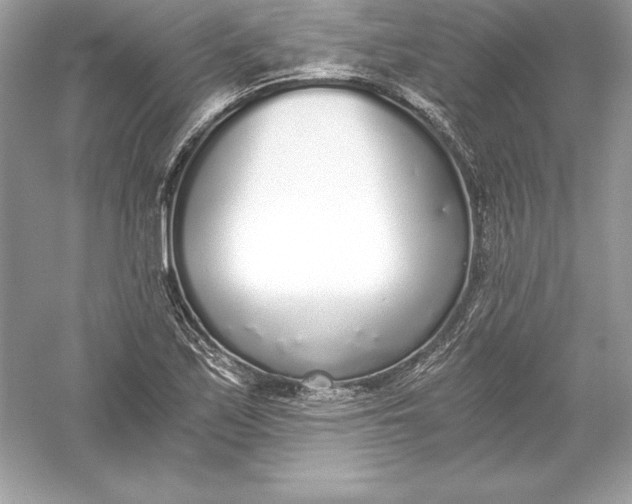 X0000056031171200509092157