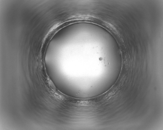 X0000056031172200509092157